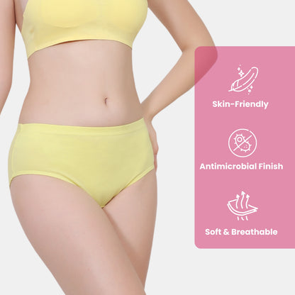 Soft Stretchable Concealed Waistband Everyday Panty