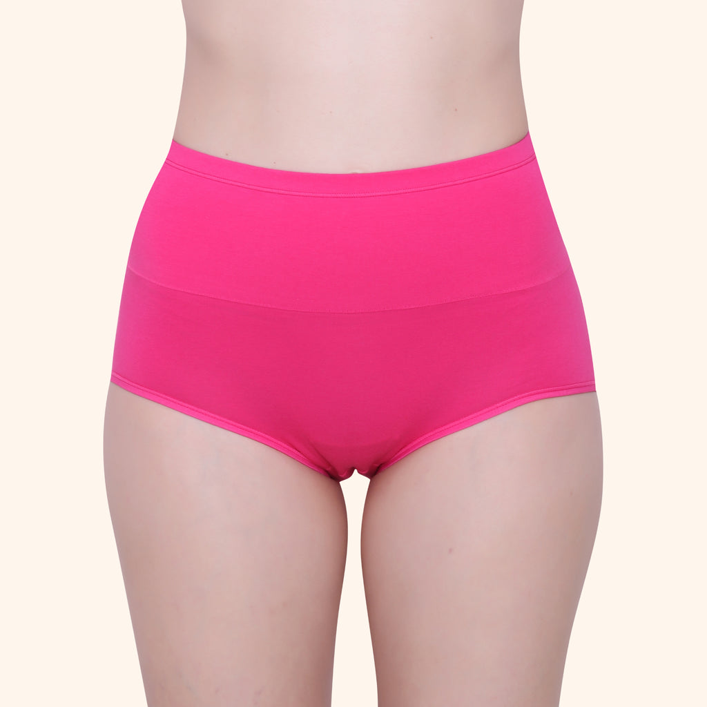High Waist Full Coverage Brief Panty