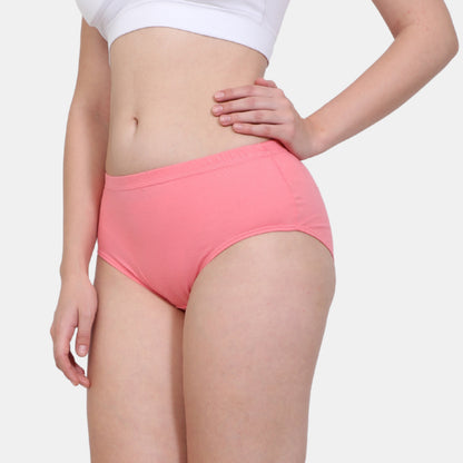 Soft Stretchable Concealed Waistband Everyday Panty