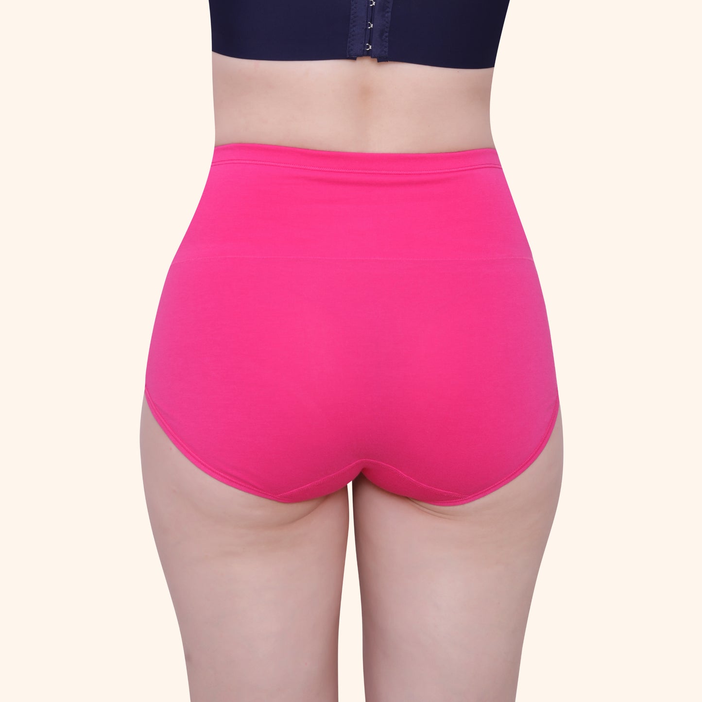 High Waist Full Coverage Brief Panty
