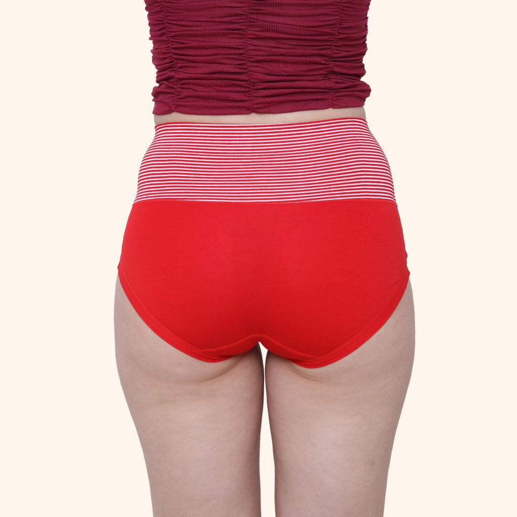 High Waist Full Coverage Brief Panty