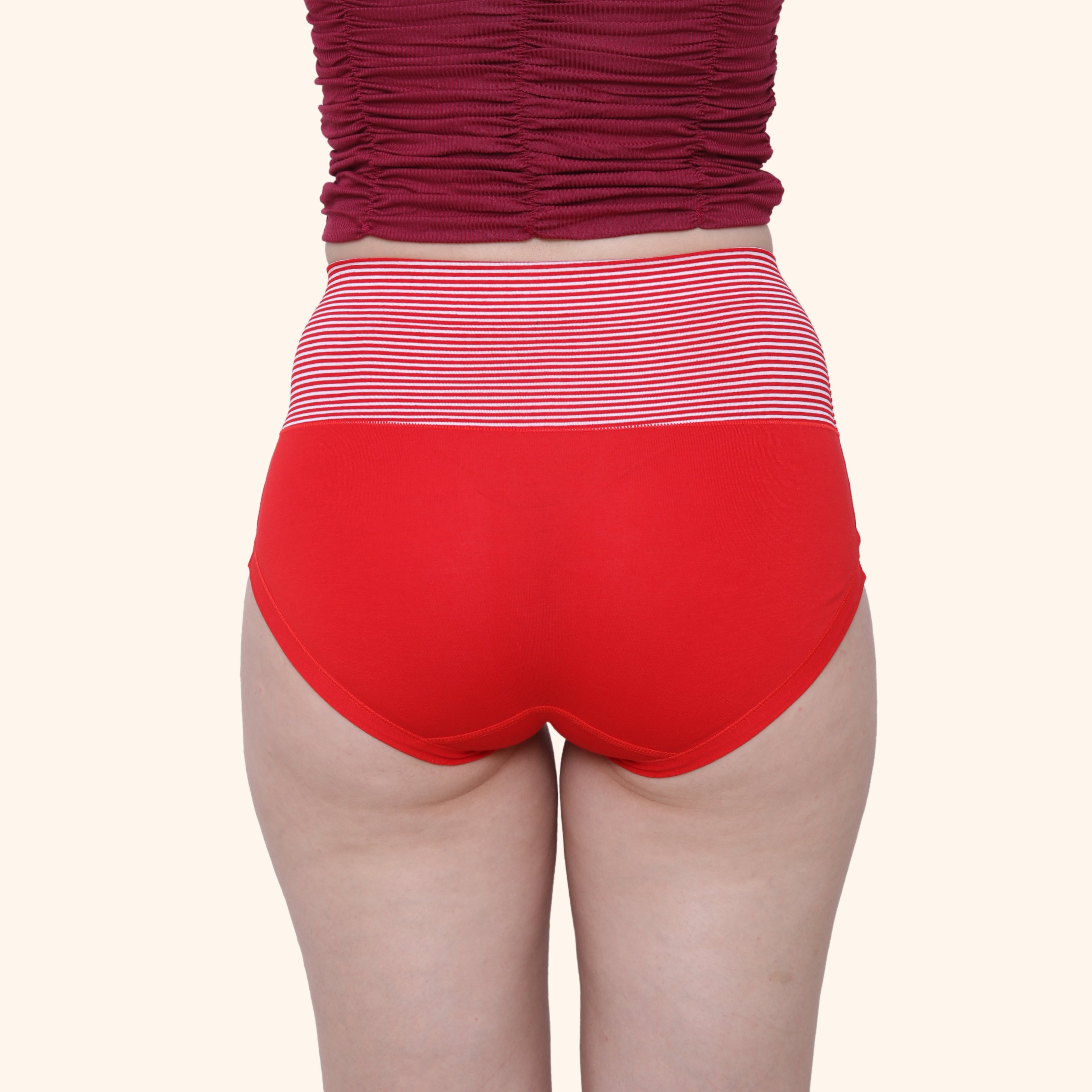 High Waist Full Coverage Brief Panty