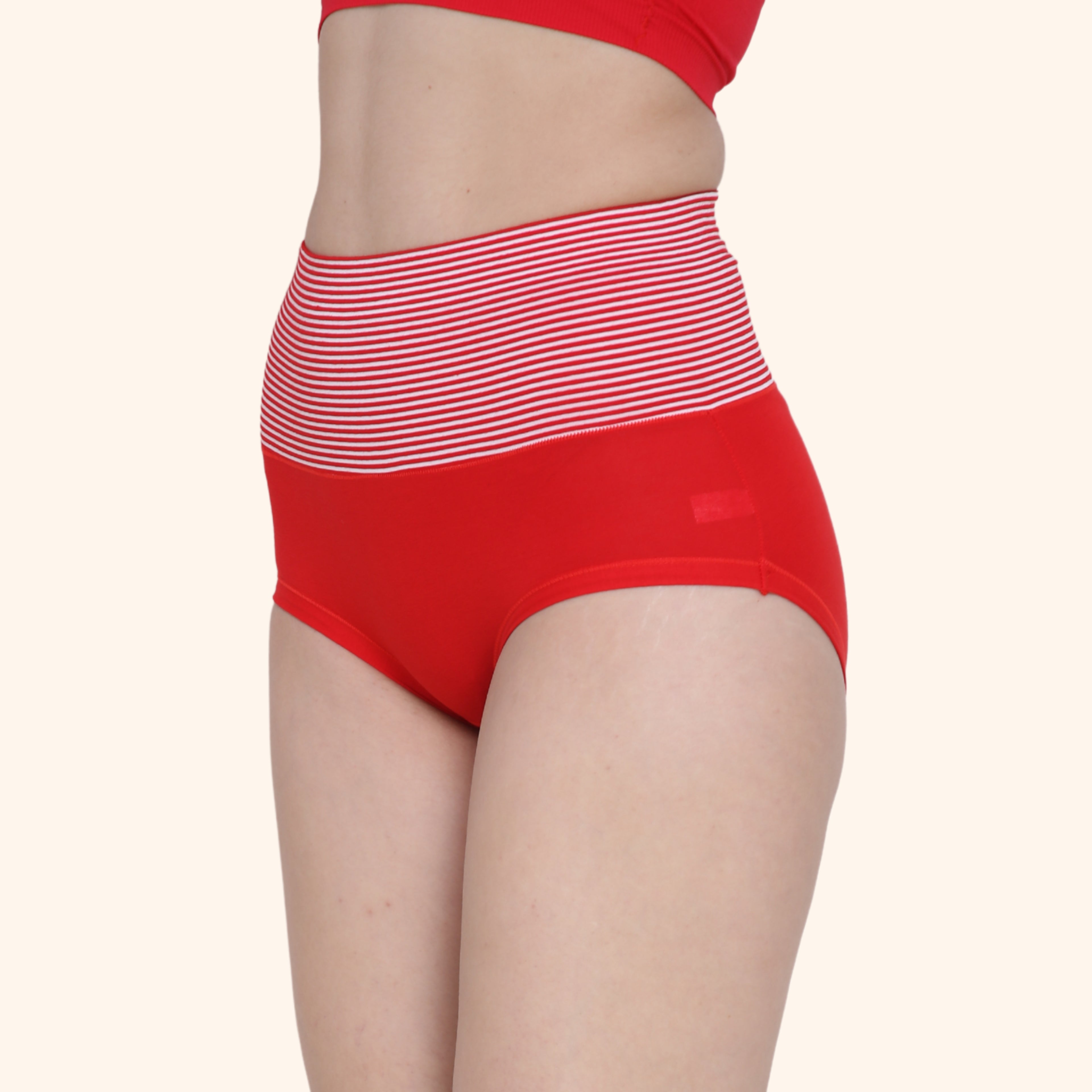 High Waist Full Coverage Brief Panty