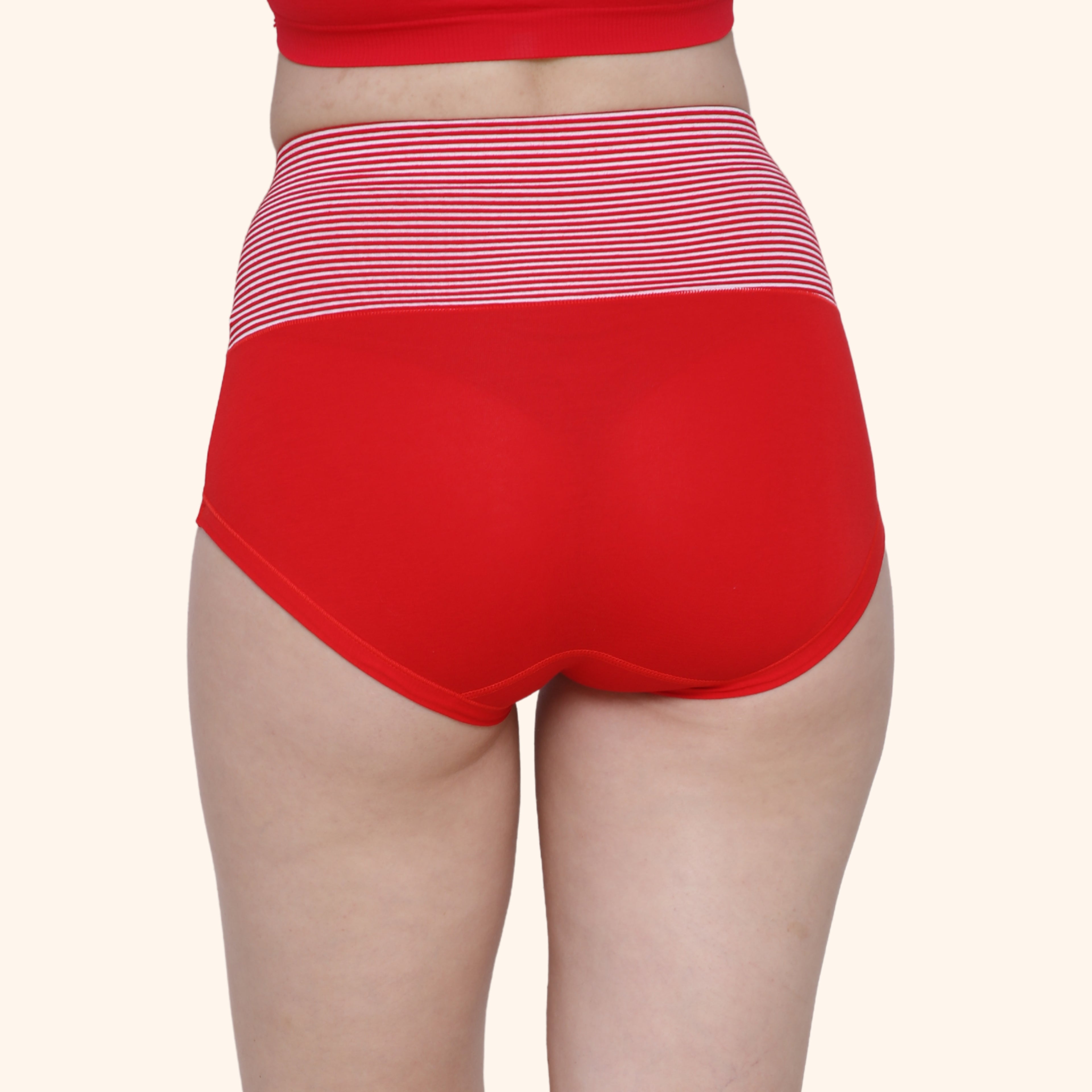 High Waist Full Coverage Brief Panty