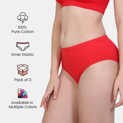 Soft Stretchable Concealed Waistband Everyday Panty