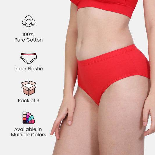 Soft Stretchable Concealed Waistband Everyday Panty