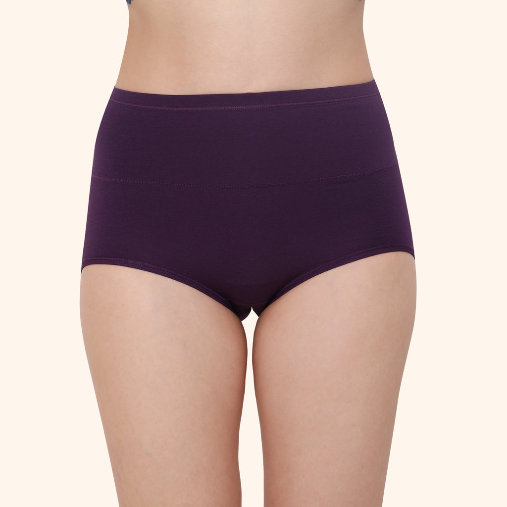 High Waist Full Coverage Brief Panty