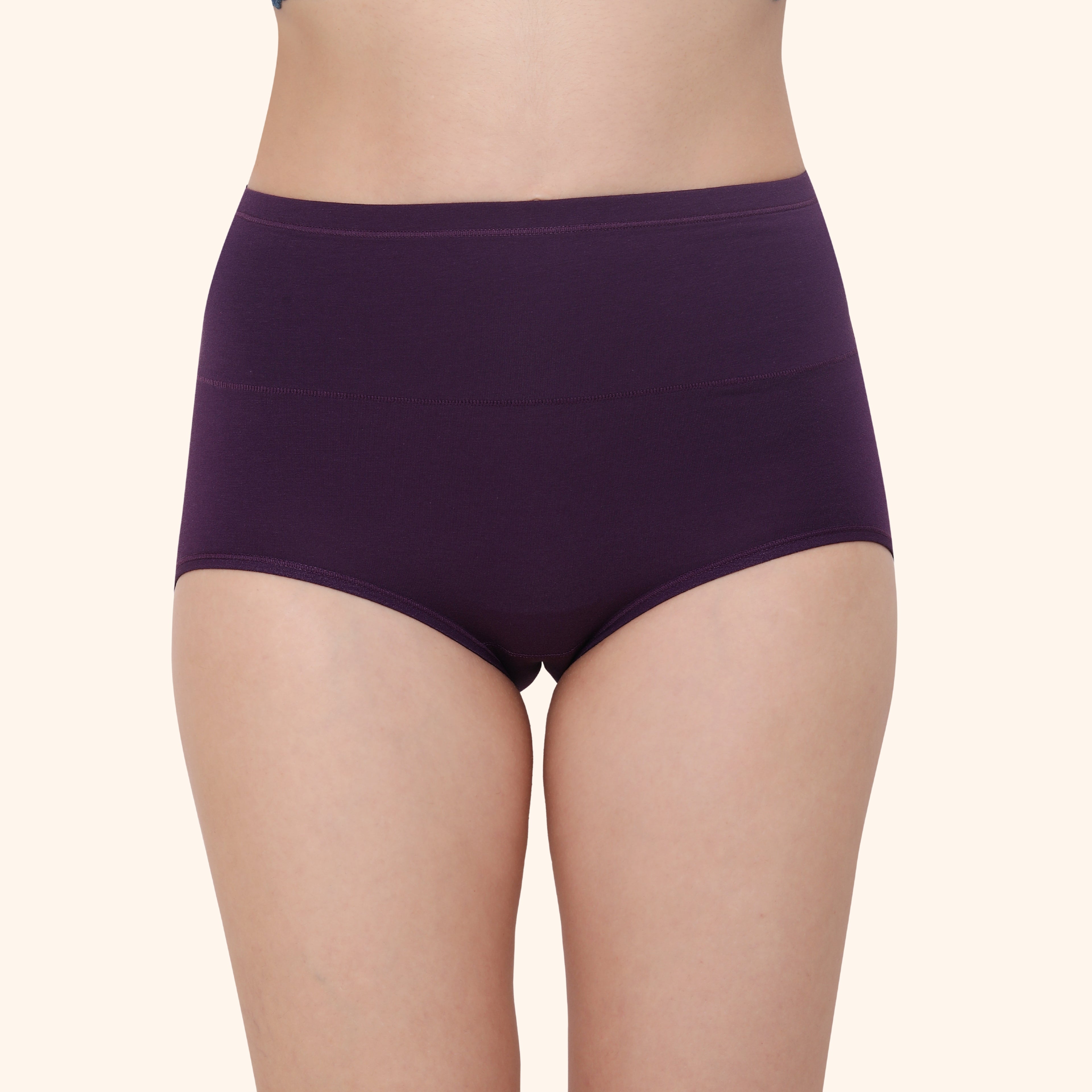 High Waist Full Coverage Brief Panty