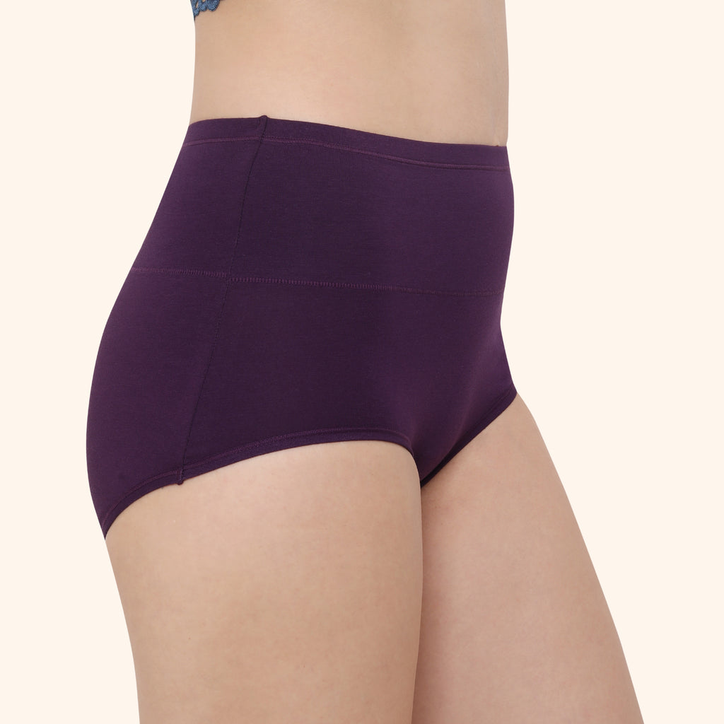 High Waist Full Coverage Brief Panty