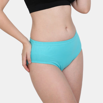 Soft Stretchable Concealed Waistband Everyday Panty
