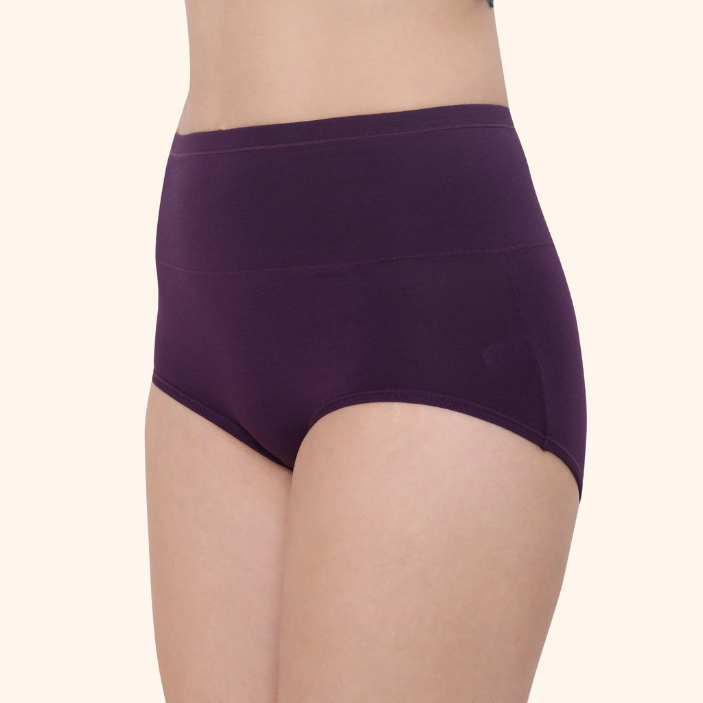 High Waist Full Coverage Brief Panty