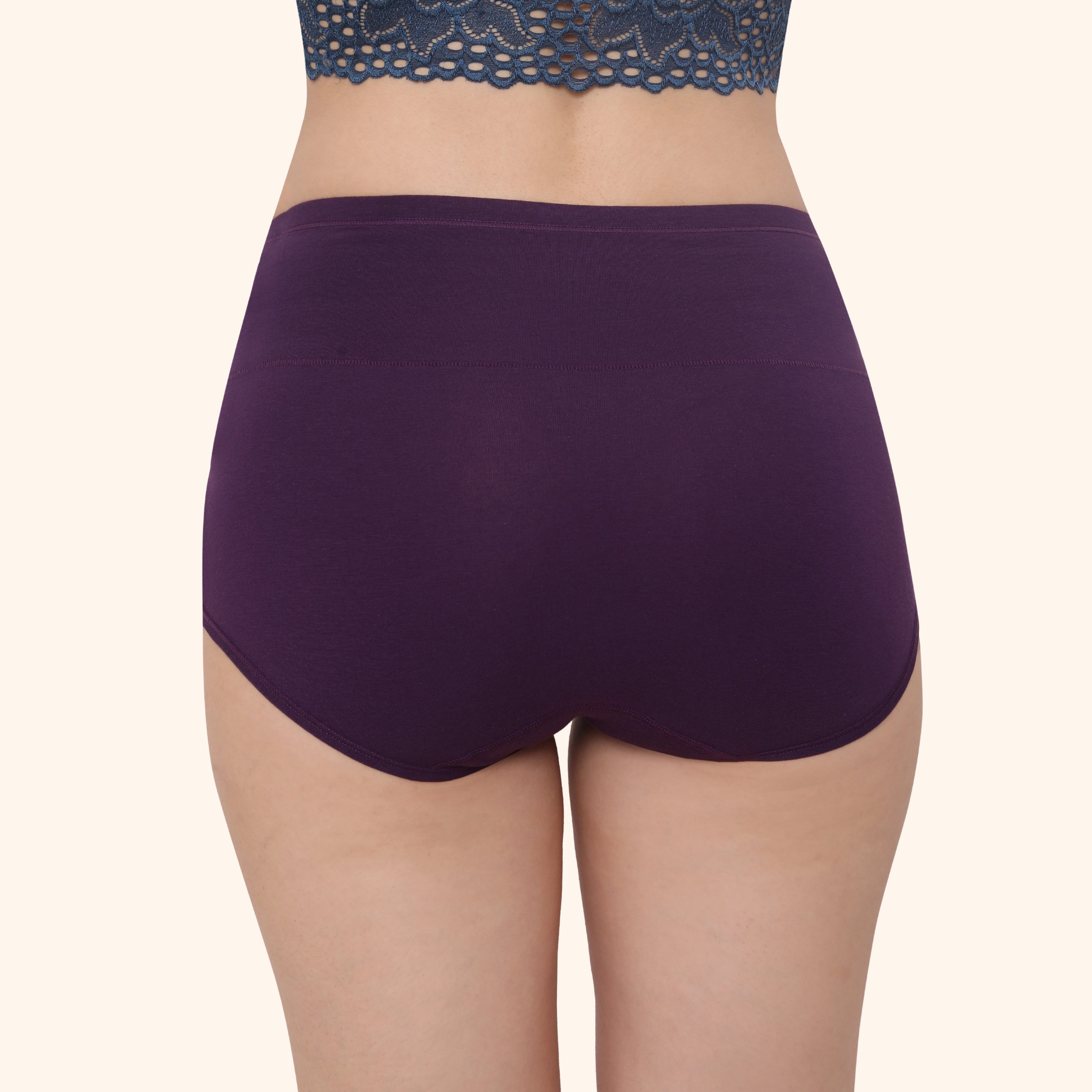 High Waist Full Coverage Brief Panty