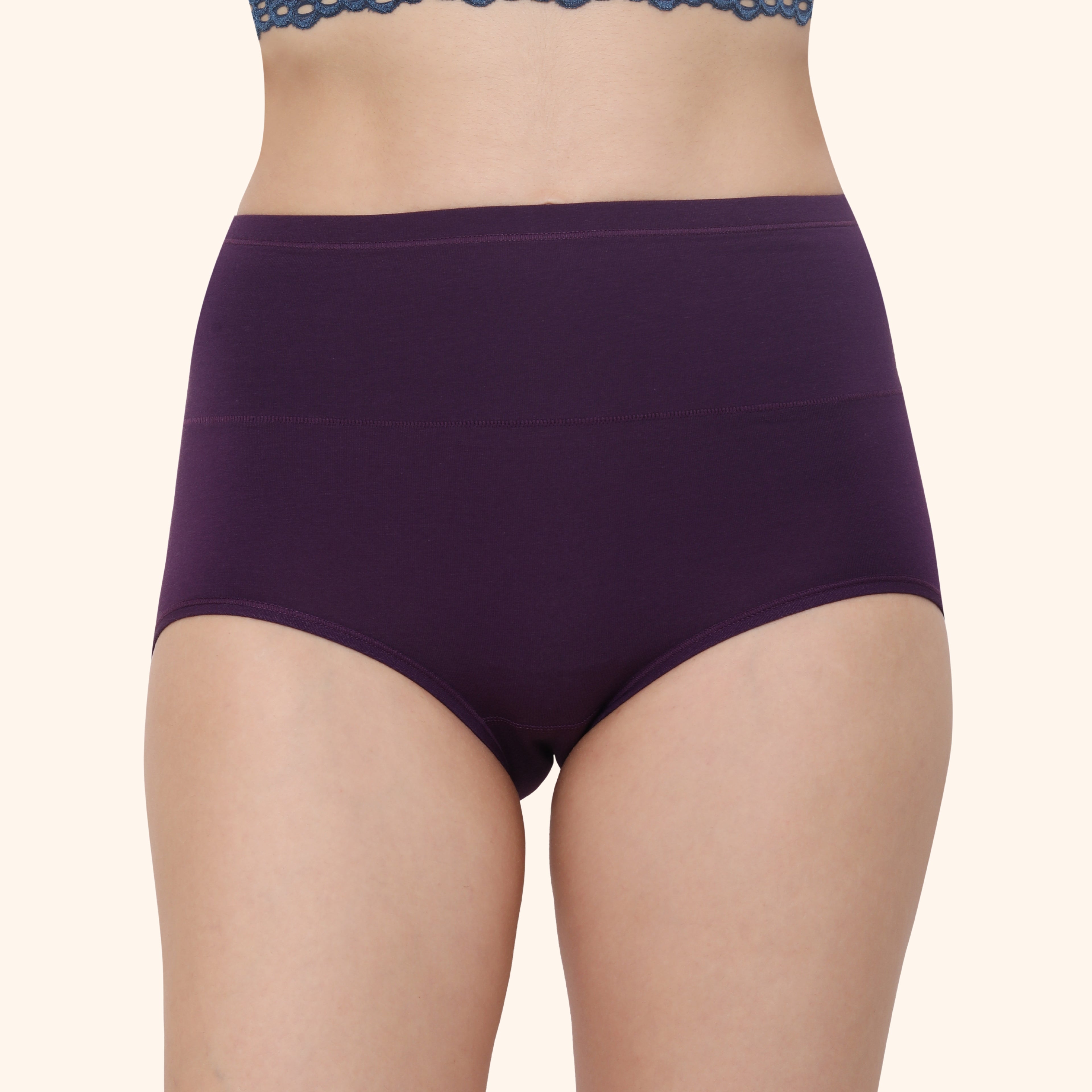 High Waist Full Coverage Brief Panty