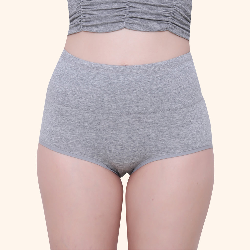High Waist Full Coverage Brief Panty