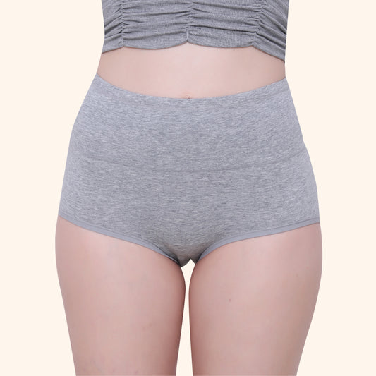 High Waist Full Coverage Brief Panty