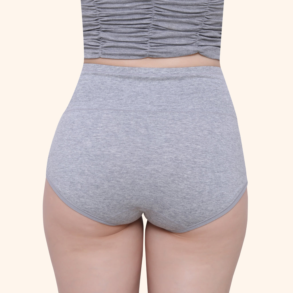 High Waist Full Coverage Brief Panty
