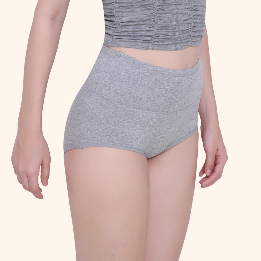 High Waist Full Coverage Brief Panty