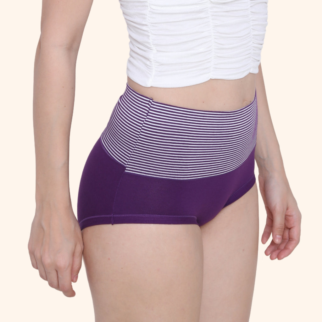 High Waist Full Coverage Brief Panty