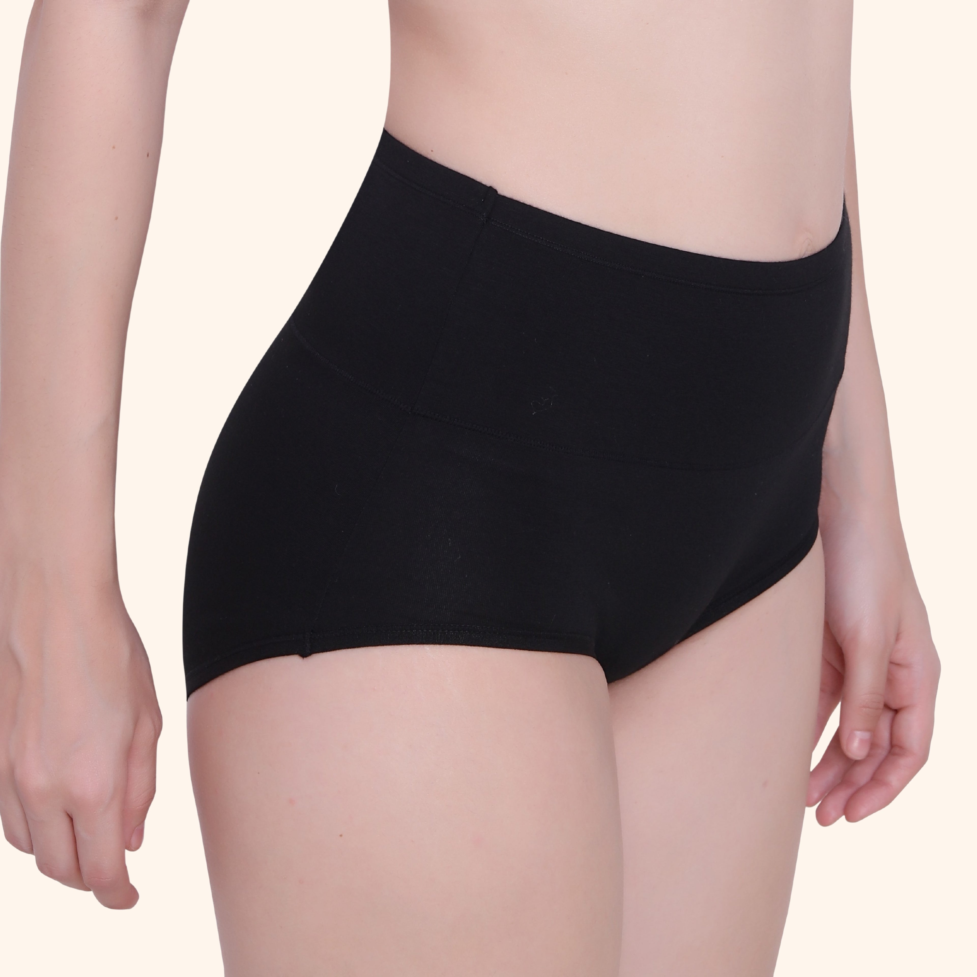 High Waist Full Coverage Brief Panty