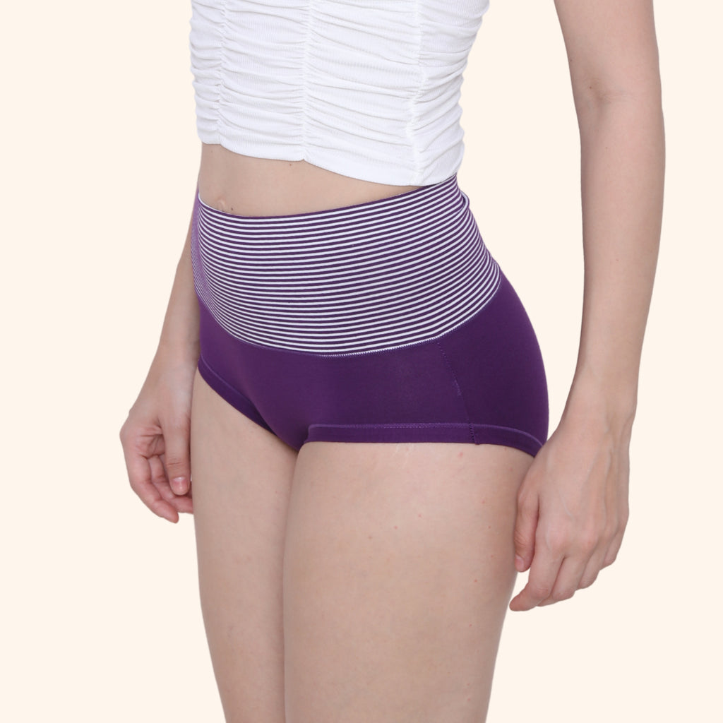 High Waist Full Coverage Brief Panty