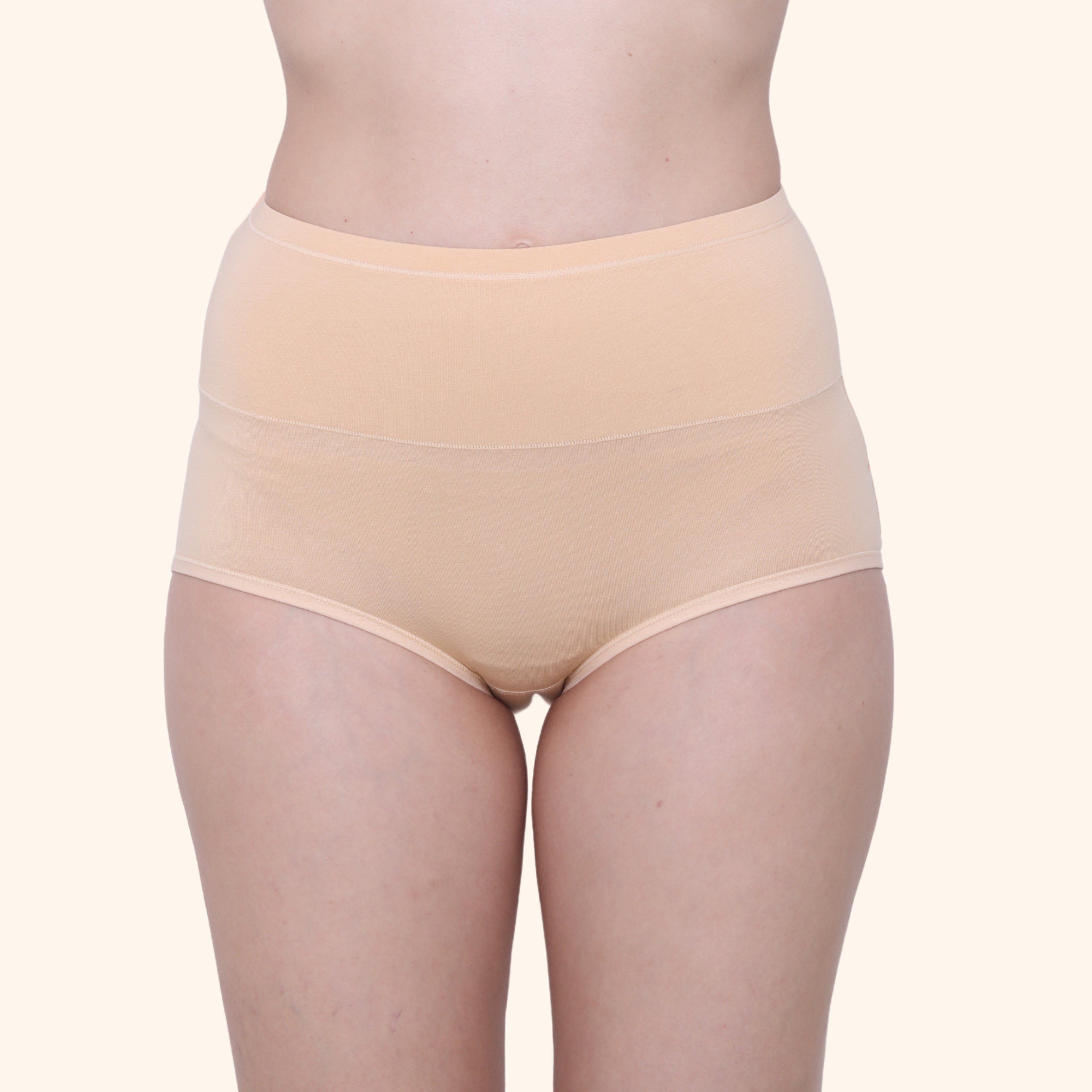 High Waist Full Coverage Brief Panty