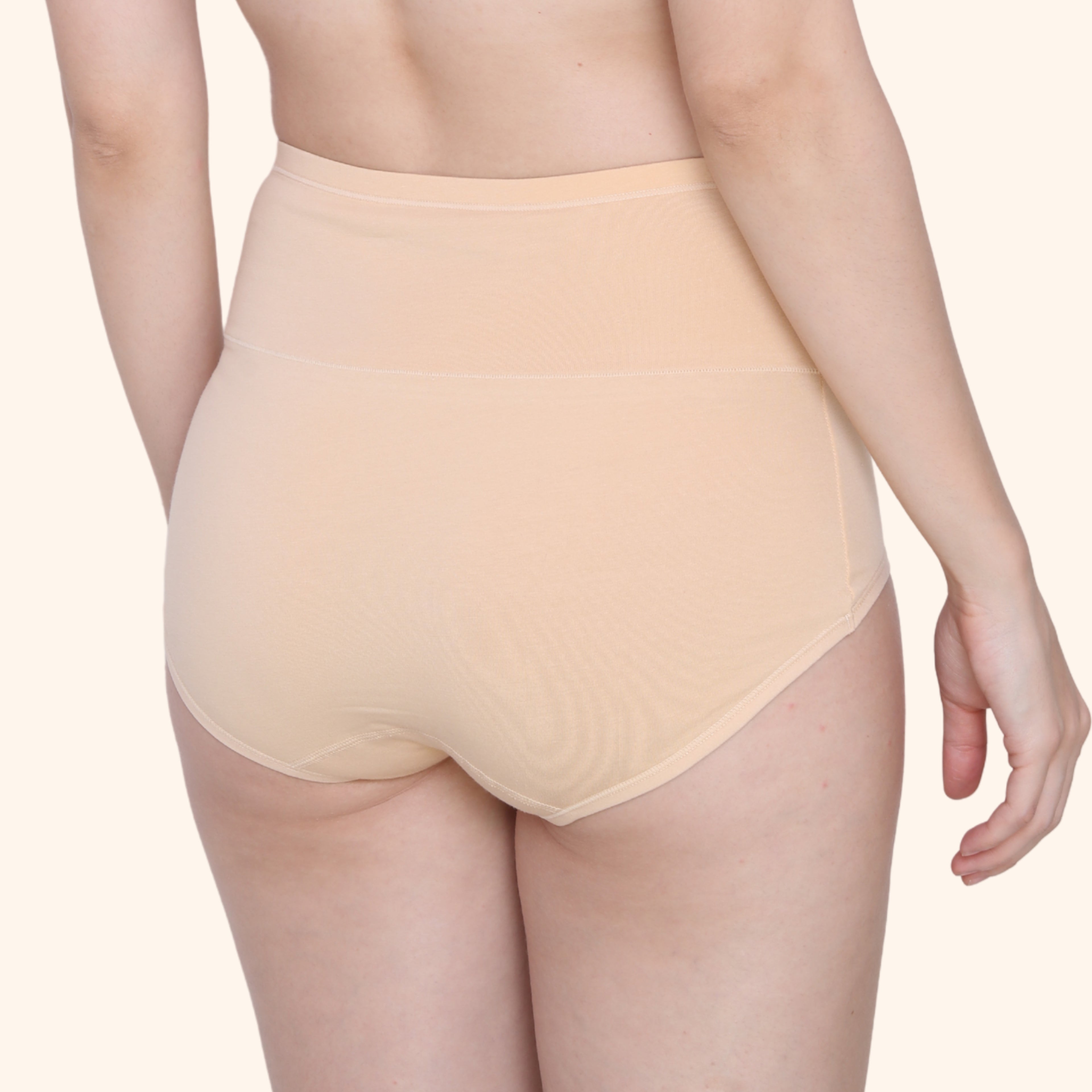 High Waist Full Coverage Brief Panty