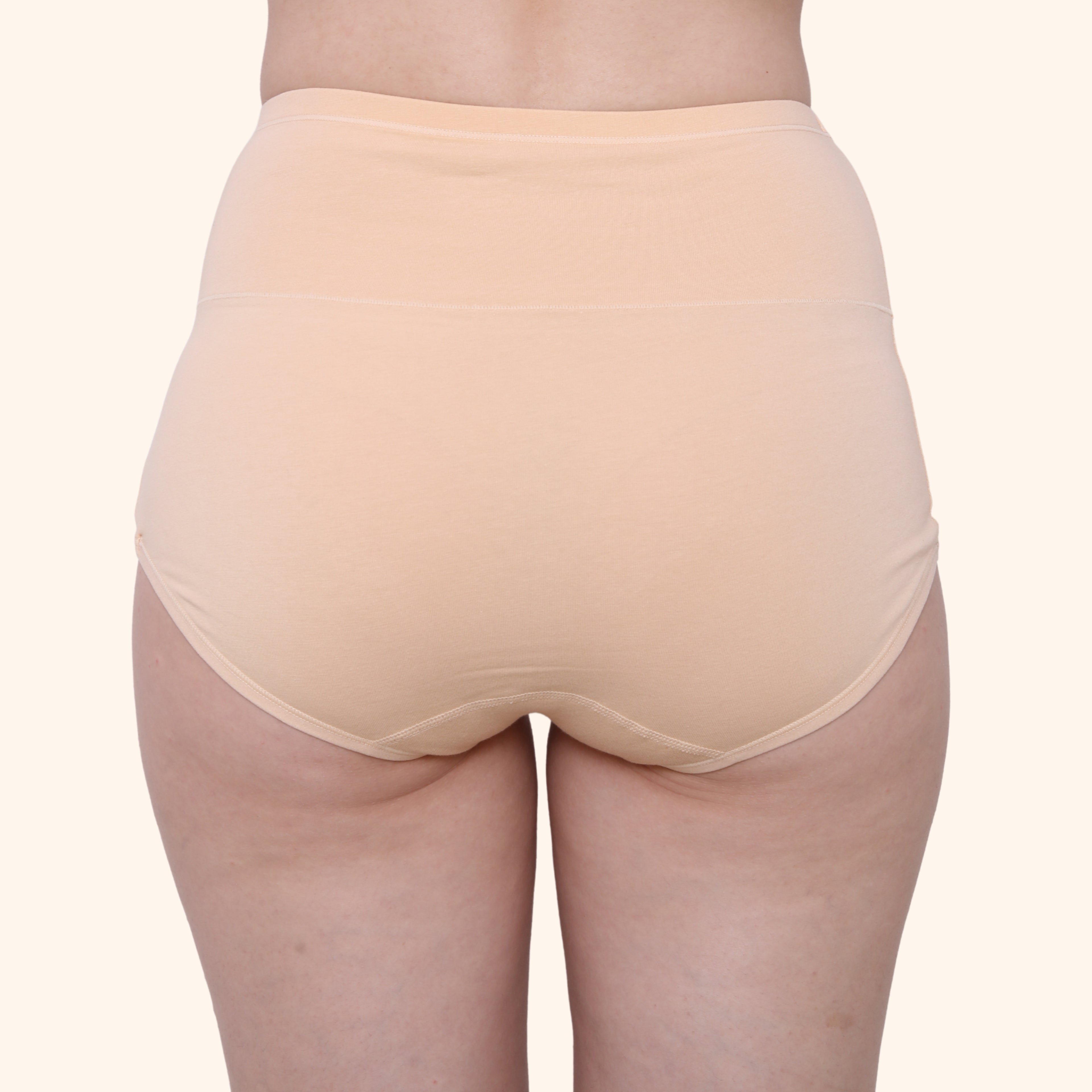 High Waist Full Coverage Brief Panty