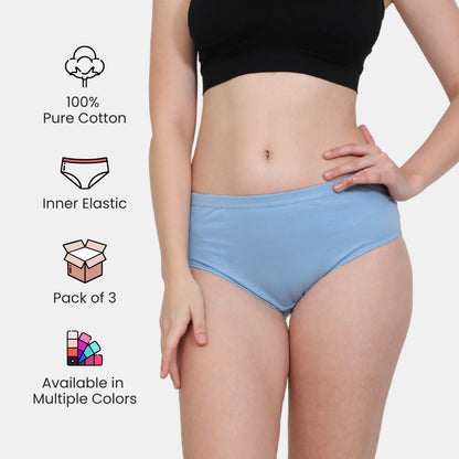 Soft Stretchable Concealed Waistband Everyday Panty